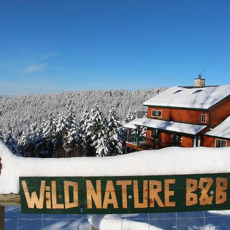 Wild Nature B&B Kelowna Exterior foto