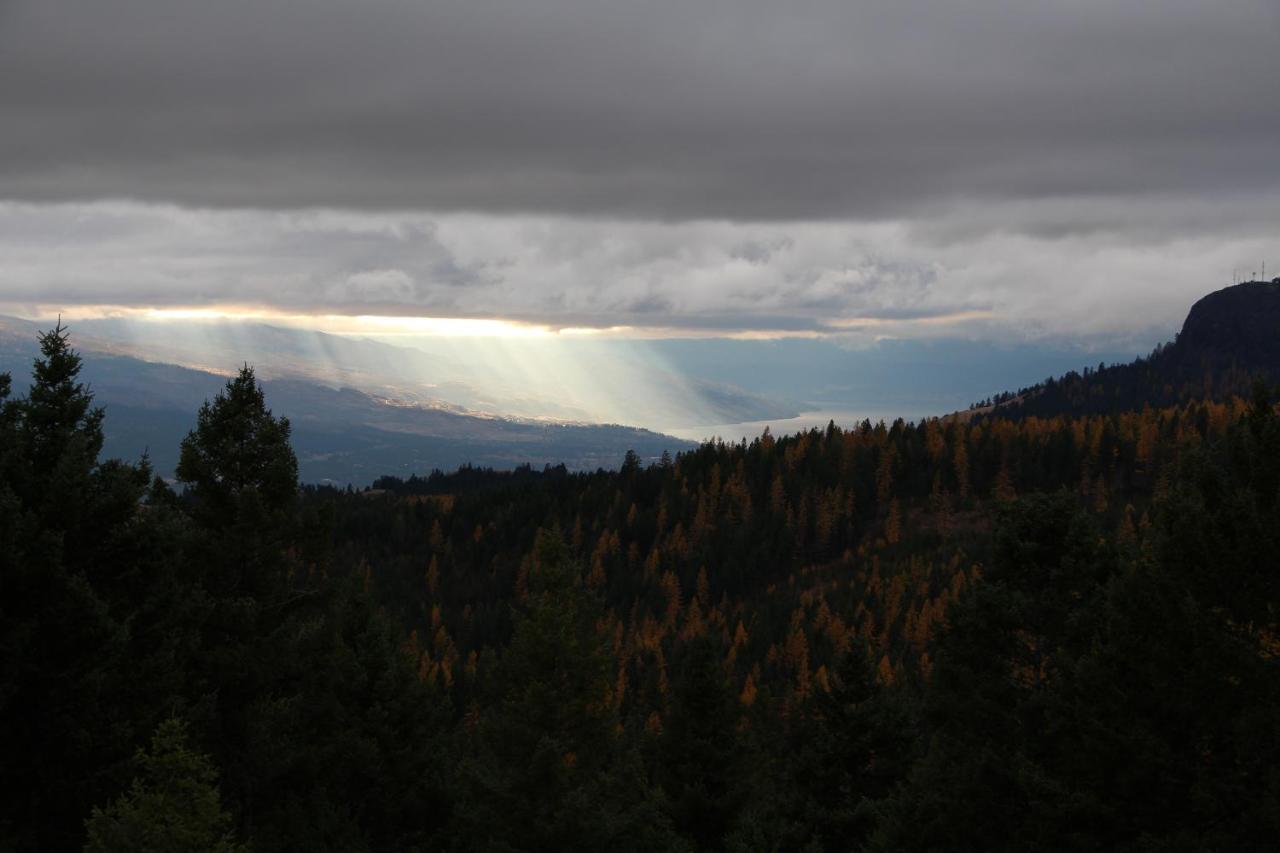 Wild Nature B&B Kelowna Exterior foto
